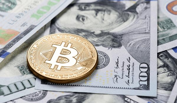 Сколько вы могли заработать на Bitcoin
